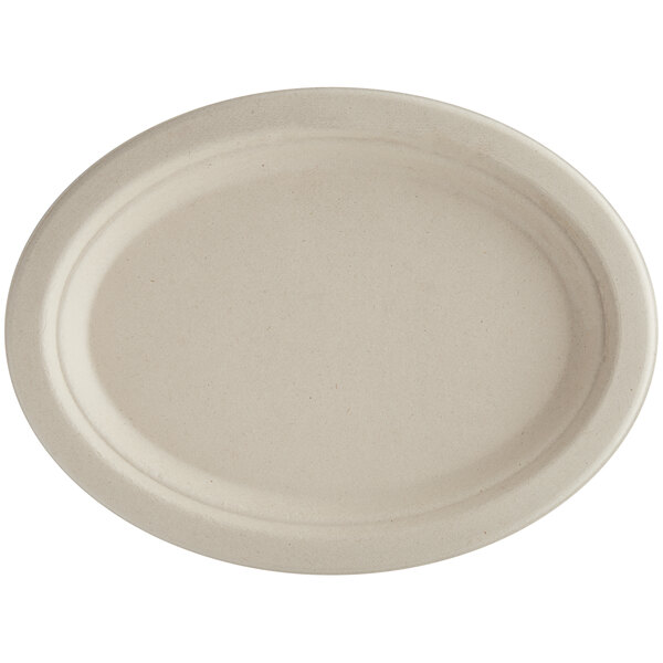 10 INCH PAPER PLATE
