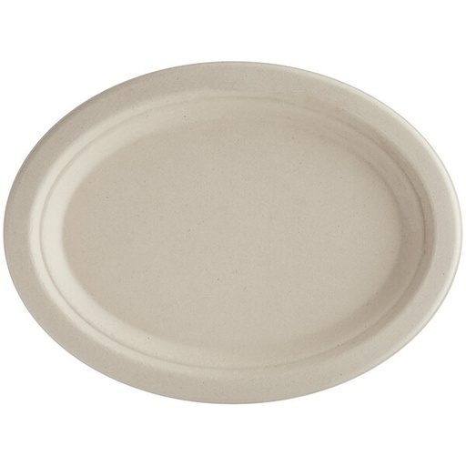 10 INCH PAPER PLATE