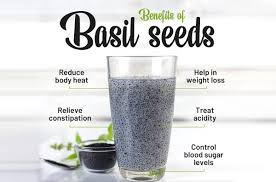 BASIL SEEDS (20 PKY X 200 GMS)